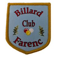 LOGO CLUB 13